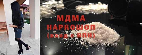 прущие грибы Каменногорск