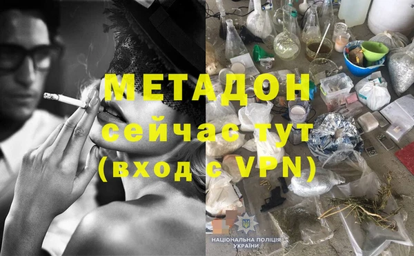 прущие грибы Каменногорск