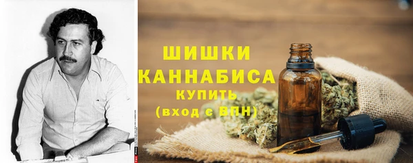 прущие грибы Каменногорск