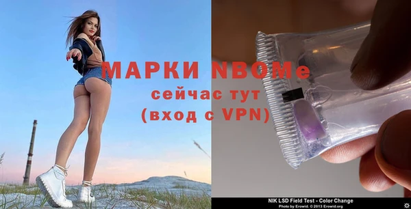прущие грибы Каменногорск