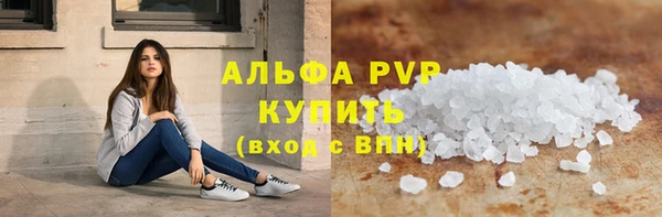 прущие грибы Каменногорск