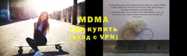 прущие грибы Каменногорск