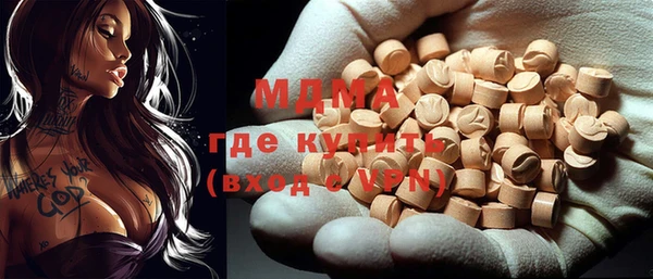 прущие грибы Каменногорск