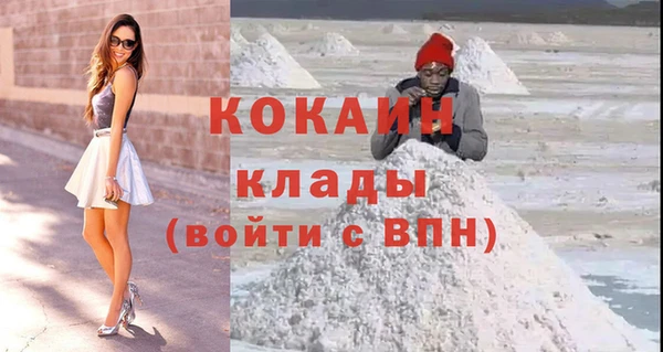 прущие грибы Каменногорск