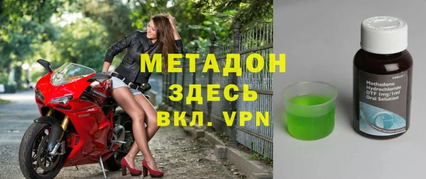 прущие грибы Каменногорск