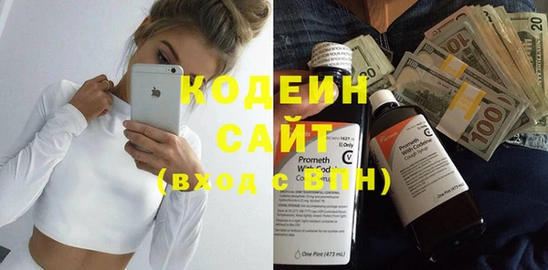 прущие грибы Каменногорск