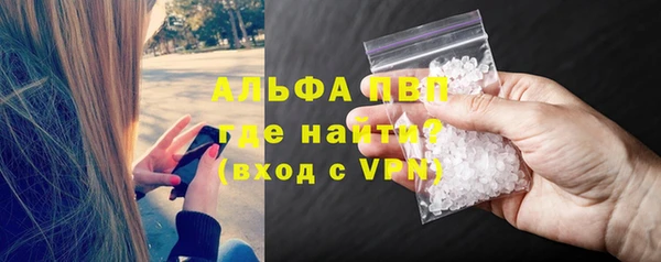 прущие грибы Каменногорск