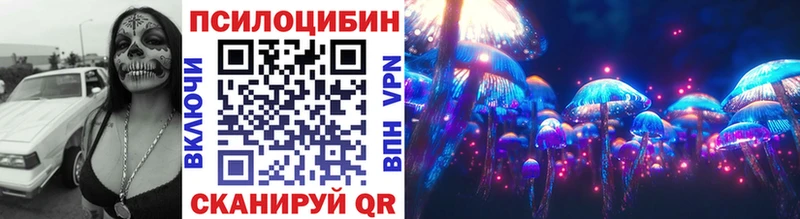 Купить  Кимры  Псилоцибиновые грибы мицелий 